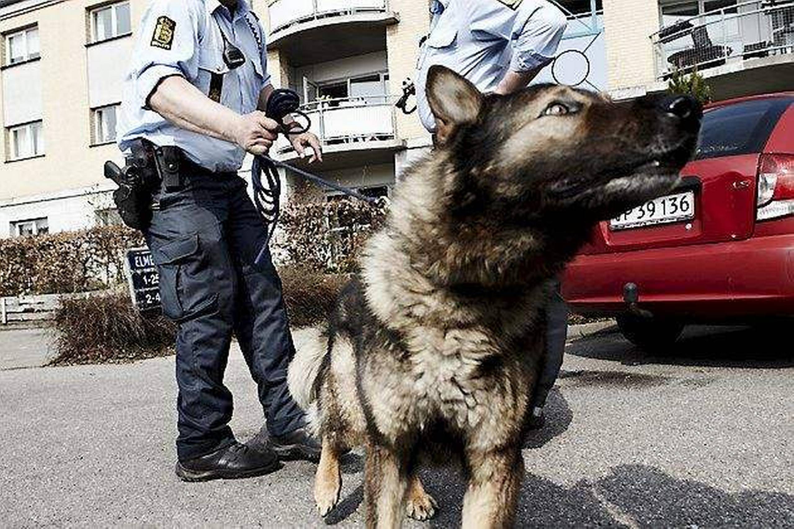 Politiet blev i nat sendt ud til en virksomhed på Nydamsvej i Hørning på grund af indbrud. Umiddelbart efter blev to mænd anholdt i sagen.